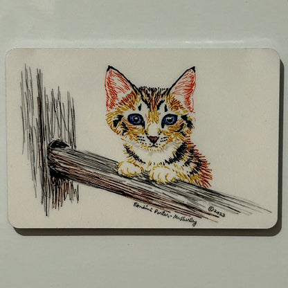 Blue-Eyed Kitty, Kitten on a Fence Rail, 2"x3" MAGNET