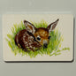 Fawn (baby Deer in the grass), 2"x3" MAGNET