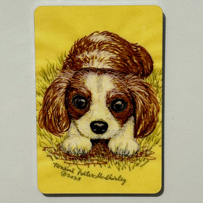 Puppy with a Longing Look, 2"x3" MAGNET