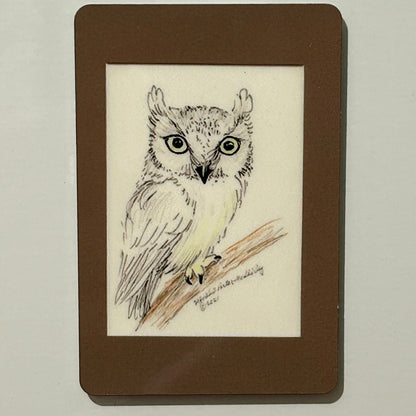 Screech Owl, 2"x3" MAGNET