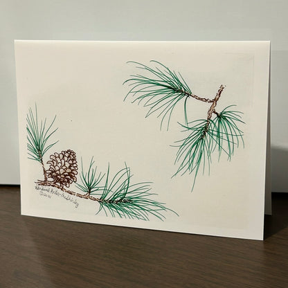 Pine Branchs with Cones and Needles, 5x7 NOTECARD with Envelope