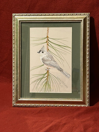 Tufted Titmouse on a Pine Branch, ORIGINAL, Framed